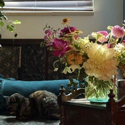 Down Home Flowers