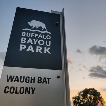 Waugh Drive Bat Colony - Located at the end of Buffalo Bayou Park - Local Flavor Near Me - Houston, Texas Waugh Drive Bat Colony - Located at the end of Buffalo Bayou Park - Local Flavor Near Me - Houston, Texas