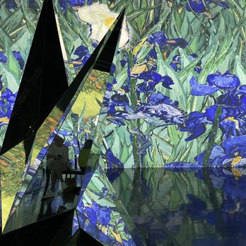 Immersive Van Gogh Exhibit Denver - Art Museums Near Me - Denver, Colorado Immersive Van Gogh Exhibit Denver - Art Museums Near Me - Denver, Colorado