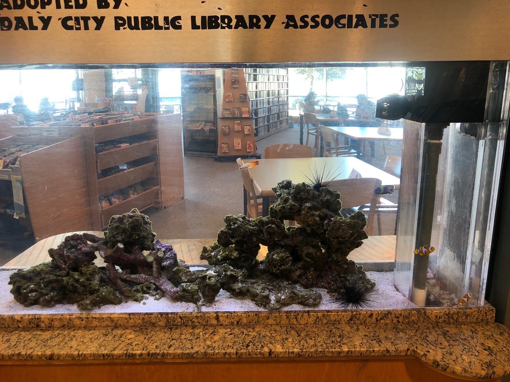 WESTLAKE BRANCH LIBRARY 15 Photos & 44 Reviews 275 Southgate Ave