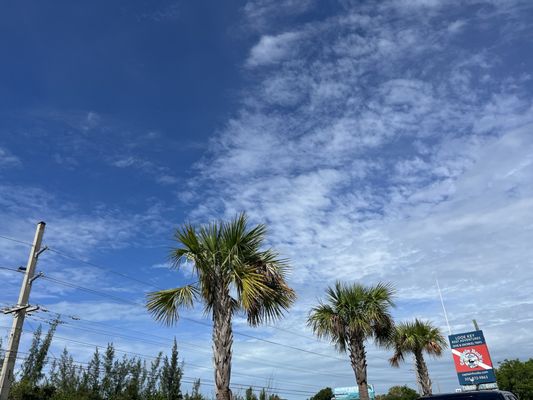 Captain Hook’s Big Pine Key by null