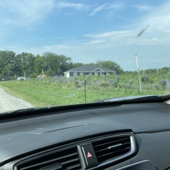 Goosecreek Blueberries - The field as seen from our car driving in - Pick Your Own Farms Near Me - Monticello, Illinois Goosecreek Blueberries - The field as seen from our car driving in - Pick Your Own Farms Near Me - Monticello, Illinois