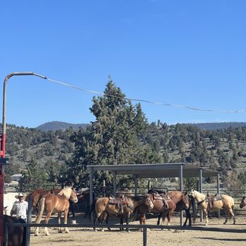 Baldwin Lake Stables - Horseback Riding Near Me - Big Bear City, California Baldwin Lake Stables - Horseback Riding Near Me - Big Bear City, California