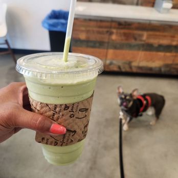 The State Grind - Matcha Green Frappe with my service dog - Coffee & Tea Near Me - Sacramento, California The State Grind - Matcha Green Frappe with my service dog - Coffee & Tea Near Me - Sacramento, California