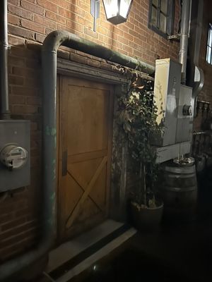 The Alley Light by null