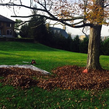 Knox Turf Pros - Leaf Clean up in West Knoxville - Lawn Services Near Me - Lenoir City, Tennessee Knox Turf Pros - Leaf Clean up in West Knoxville - Lawn Services Near Me - Lenoir City, Tennessee