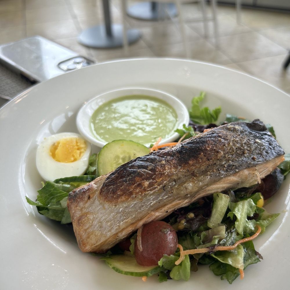Polpo Palm Beach - Grilled salmon salad - New American Near Me - Manalapan, Florida Polpo Palm Beach - Grilled salmon salad - New American Near Me - Manalapan, Florida