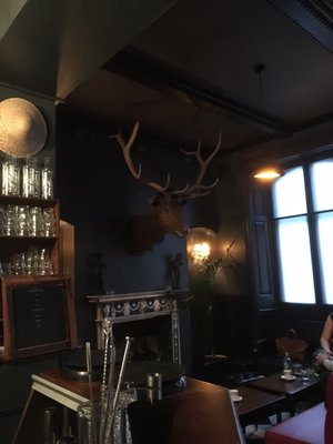 The Milk Thistle by null