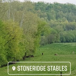 StoneRidge Stables - Our River Pasture which is pasture 10 can hold 10 horses with plenty of room to spare.