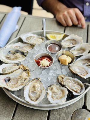 The Walrus Oyster & Ale House by null