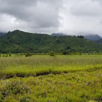 Kawainui Marsh Trail - mauka (mountain) views - Hiking Near Me - Kailua, Hawaii