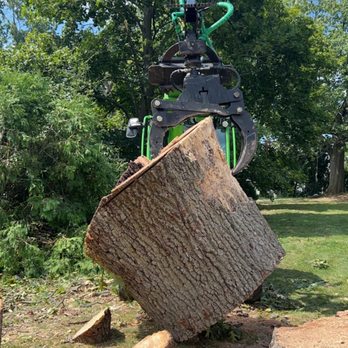 Brumbaugh Tree Removal and Landscaping - Tree Services Near Me