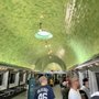 Belle Isle Aquarium
