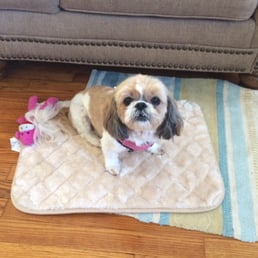 Lucy D.pretty girl