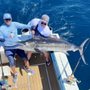 Cabo San Lucas Sportfishing