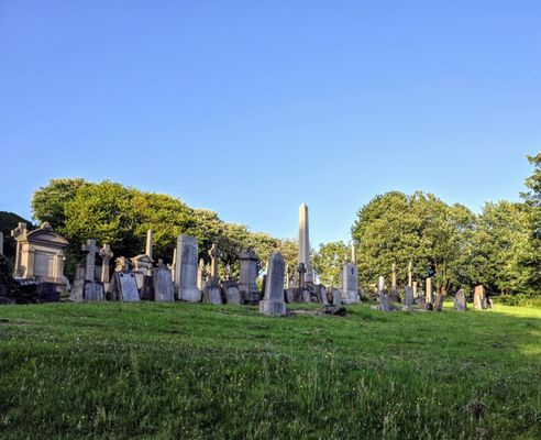 The Glasgow Necropolis by null