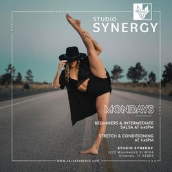 Studio Synergy