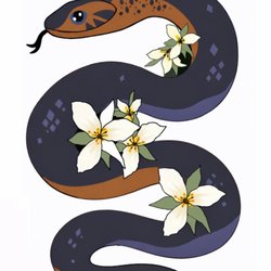 Indigo Yoga