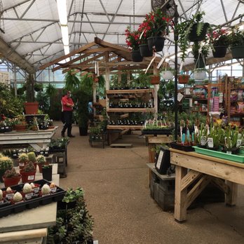 Merrifield Garden Center - Greenhouse plants - Nurseries & Gardening Near Me - Fairfax, Virginia Merrifield Garden Center - Greenhouse plants - Nurseries & Gardening Near Me - Fairfax, Virginia