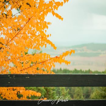The Ridge At Greenbluff - Party & Event Planning Near Me - Colbert, Washington