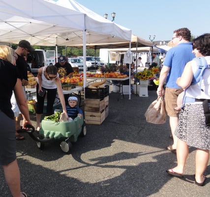 West End Farmers Market by null