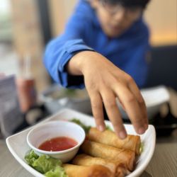 Pho Real Viet Kitchen - Vegetable spring rolls