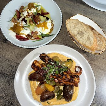 Marina - burrata and grilled octopus - Italian Near Me - Pasadena, California