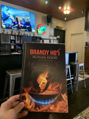 Brandy Ho's Hunan Food by null