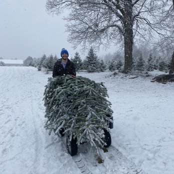 ADDISON OAKS CHRISTMAS TREE FARM - Updated June 2025 - 13 Photos & 14