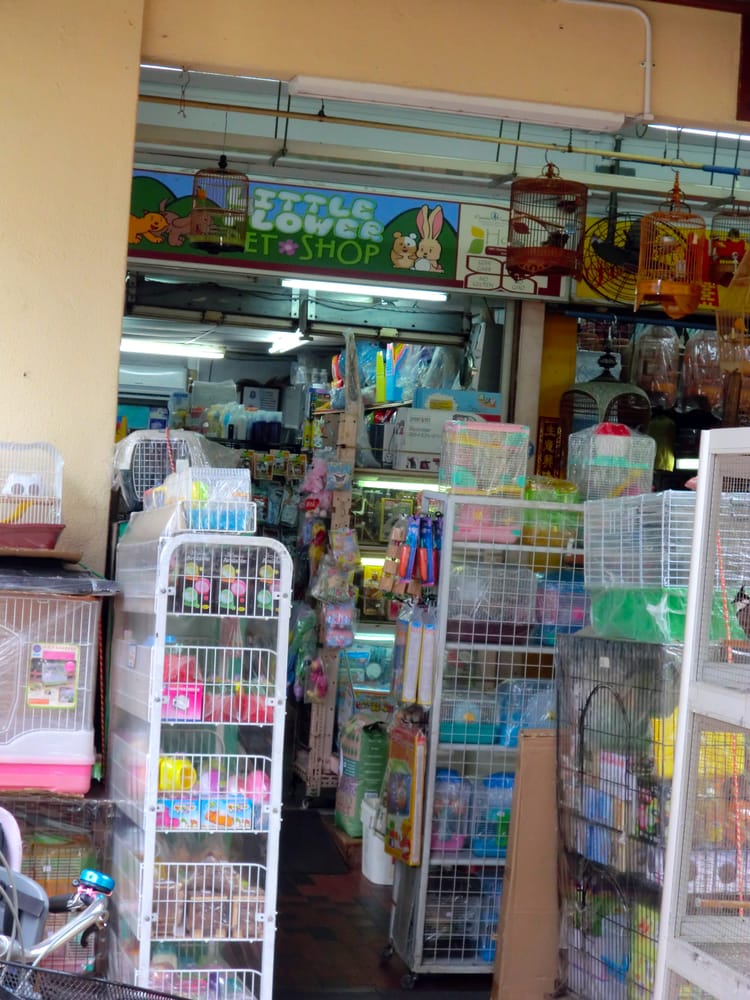 LITTLE FLOWER PET SHOP Updated August 2024 154 Serangoon North Ave