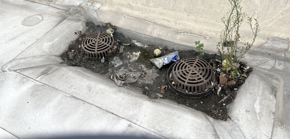 Slide of California Pressure Washing