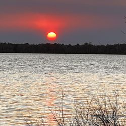 Pine Island Marina & Rv Park