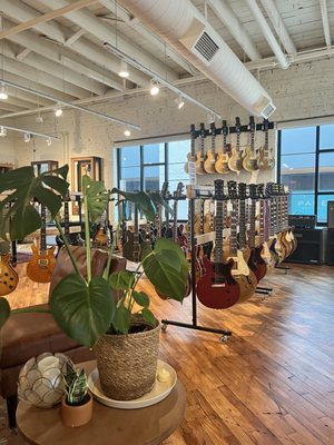 Carter Vintage Guitars by null