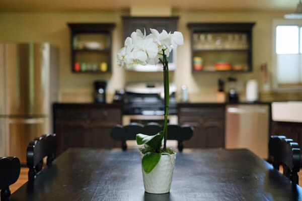 The Cottages of Napa Valley by null