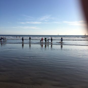 Venice Beach Boardwalk - Clear beach - Beaches Near Me - Venice, California Venice Beach Boardwalk - Clear beach - Beaches Near Me - Venice, California