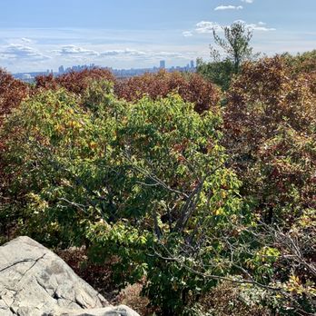 Middlesex Fells Reservation - Parks Near Me - Stoneham, Massachusetts