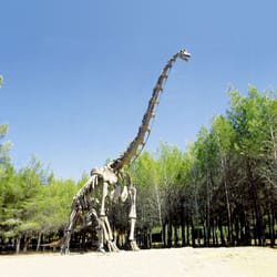 Musée des Dinosaures - Brachiosaure Musée Parc des Dinosaures Meze