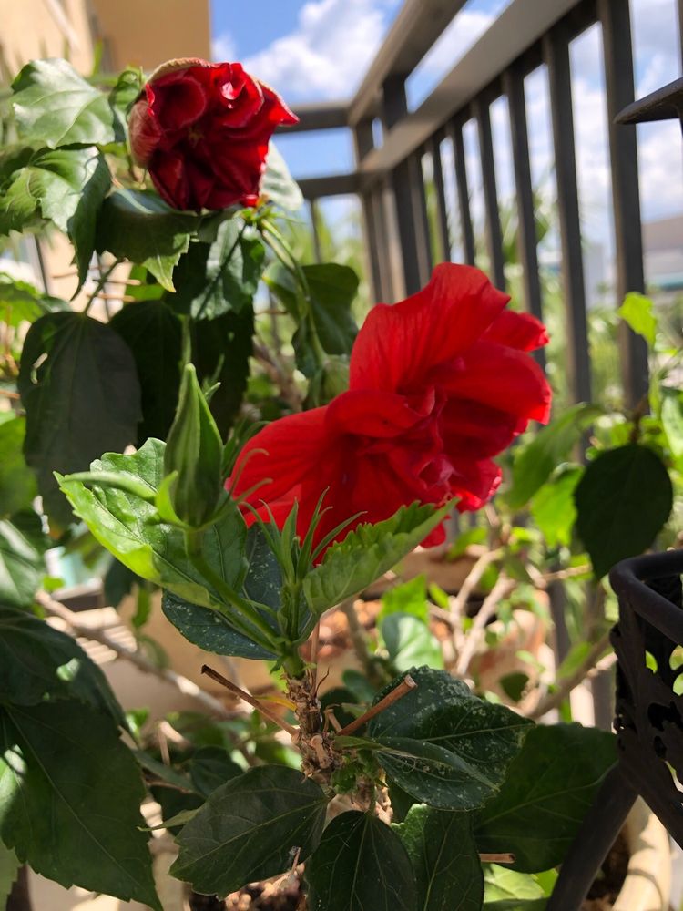 MERRICKDAMON REAL ESTATE SCHOOL Updated September 2024 11 Reviews