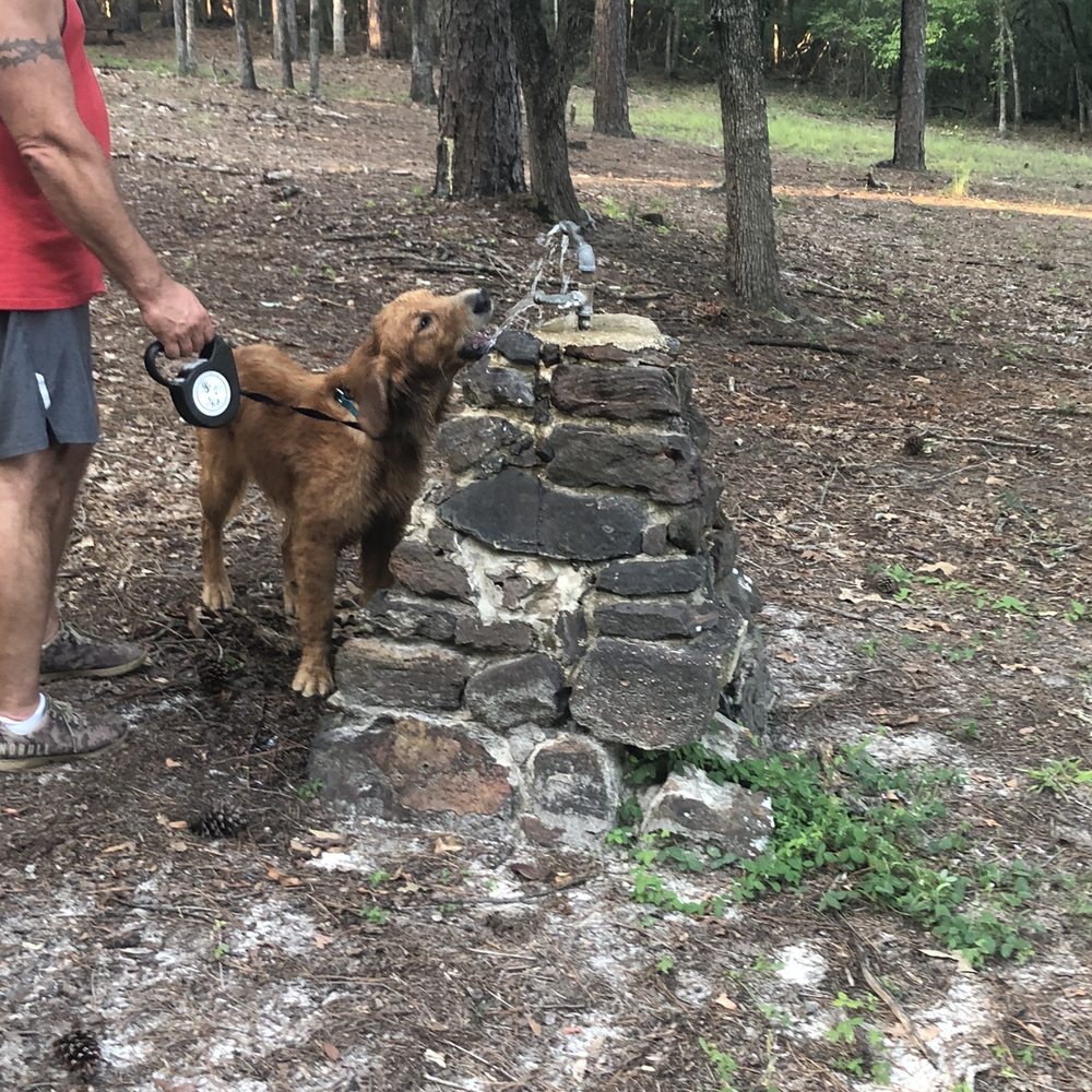 Clarkco State Park - Water fountains in several places - Parks Near Me - Quitman, Mississippi
