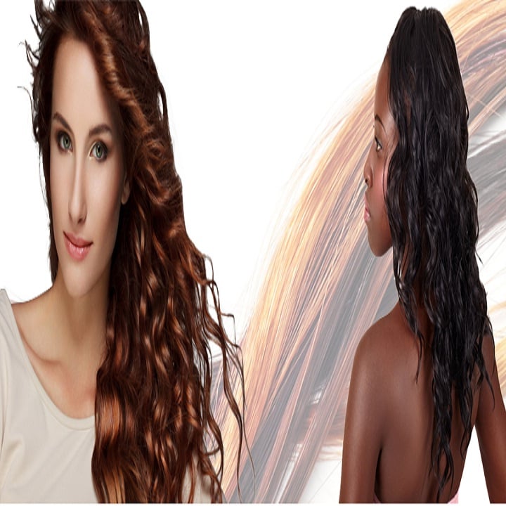 Haledon Beauty Supply Logo