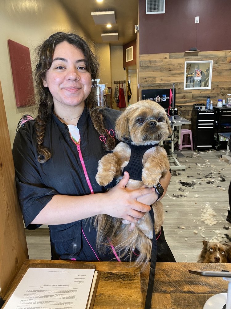 SUDS N PUPS DOG GROOMING AND WASH 72 Photos & 57 Reviews 5160