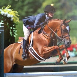 Winding Hill Stables - Cuttin Class AKA Tommy. Great lesson pony for the beginner to the most advanced rider.