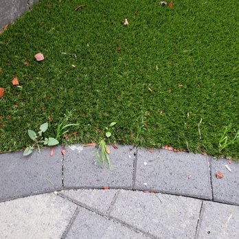 System Pavers - Weeds coming thru artificial turf. - Masonry/Concrete Near Me - San Marcos, California System Pavers - Weeds coming thru artificial turf. - Masonry/Concrete Near Me - San Marcos, California