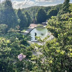 Botaniska Trädgården