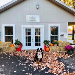 La Boutique Fermière - The Farmhouse Boutique