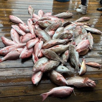 Hubbard's Marina - Boat load of fish - Boating Near Me - Madeira Beach, Florida