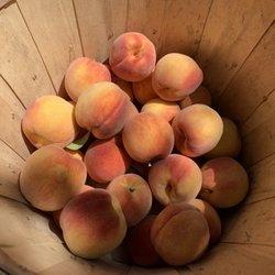 Race Farm - Peaches