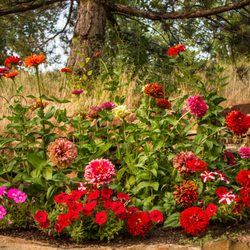 Billings Nursery & Landscaping