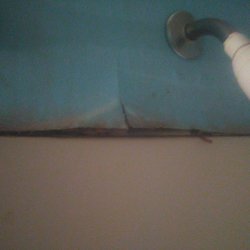 Wallingford Inn - Mold in the showers