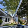 Photo of Beyond Tree Care